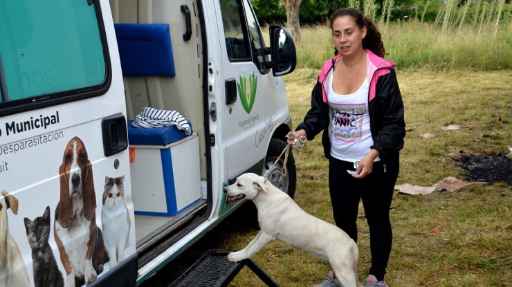 El móvil del servicio veterinario estará en Ingeniero Allan